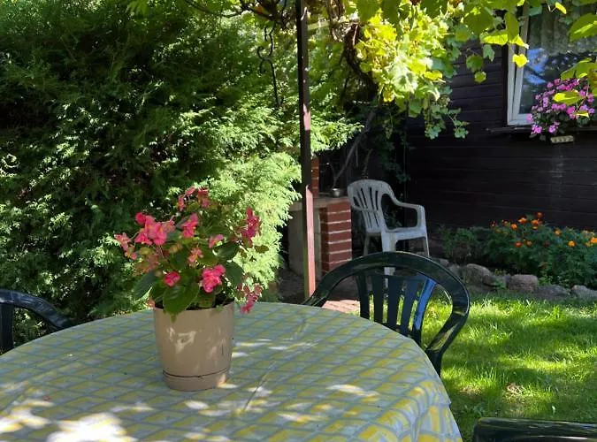 Orle Gniazdo Apartament